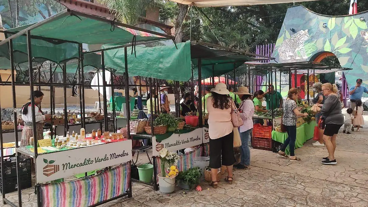 mercadito-verde-cuernavaca (7)